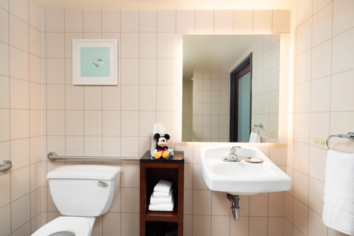 ADA accessible Hotel Lulu bathroom